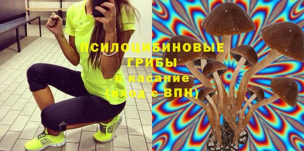 гашик Покачи